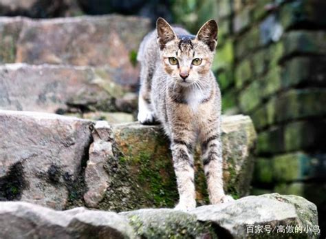 宜人不用用人不疑 木 屏風